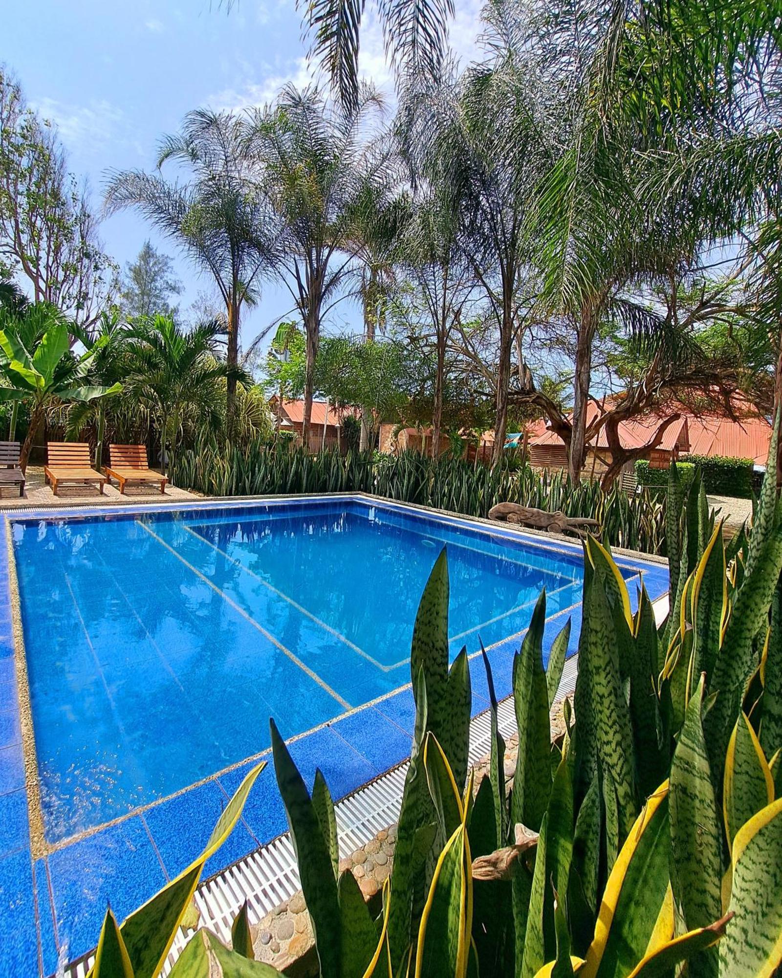 Cabanas La Tortuga Аямпе Экстерьер фото